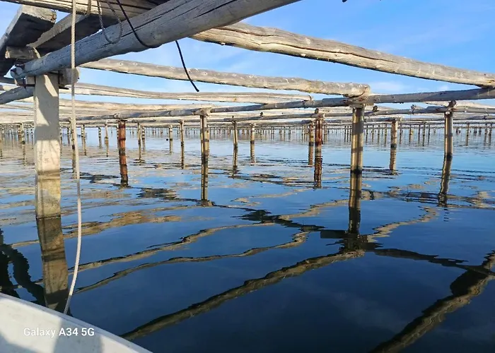 Летний дом Loftcaljoan Дельтебре